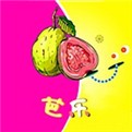 芭乐app最新版