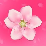 hxeskge23杏仁直播