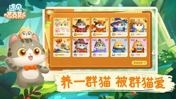 遇见喵克斯1