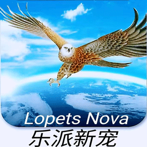 乐派新宠最新安卓免费版下载